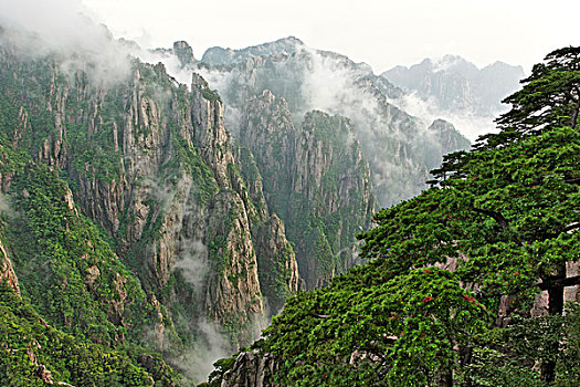 听话要水联系电话C1B8D97C5-18975